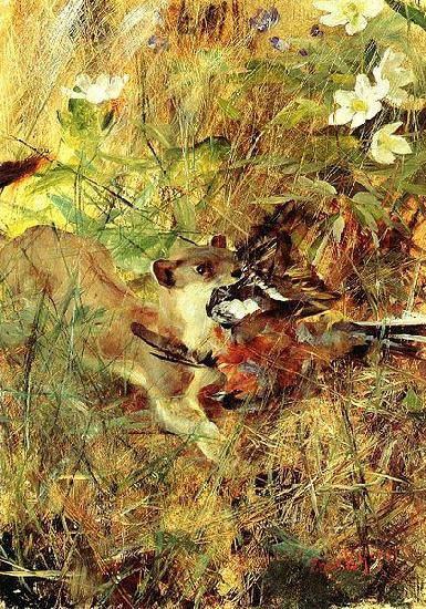 bruno liljefors Weasel with Chaffinch china oil painting image